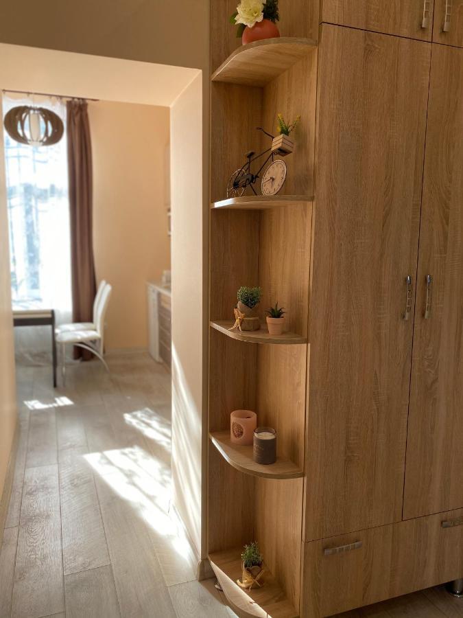 Opera House Apartment Lviv Extérieur photo